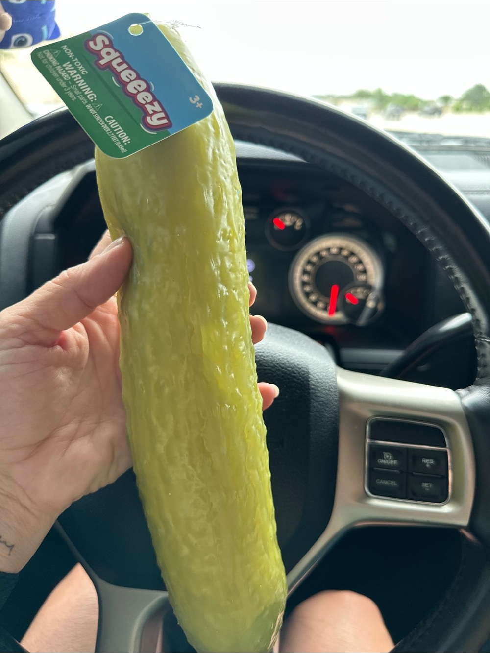 Stuffed Pickle Plush Toy - Green